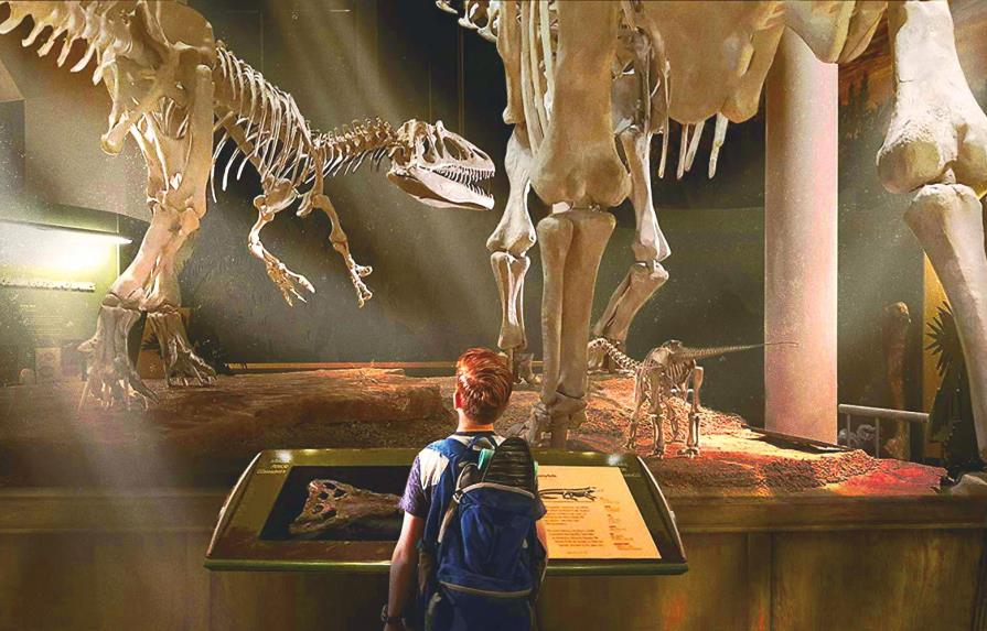 “The Adventures of Jurassic Pet” y otros estrenos