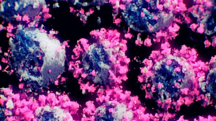 Logran la primera imagen real del virus del COVID-19 en 3 dimensiones Logran la primera imagen real del virus del COVID-19 en 3 dimensiones