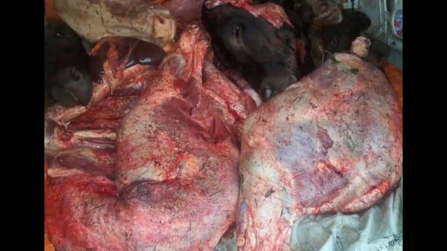 Apresan al jefe de banda de cuatreros con un minibús repleto de carne de res Apresan al jefe de banda de cuatreros con un minibús repleto de carne de res