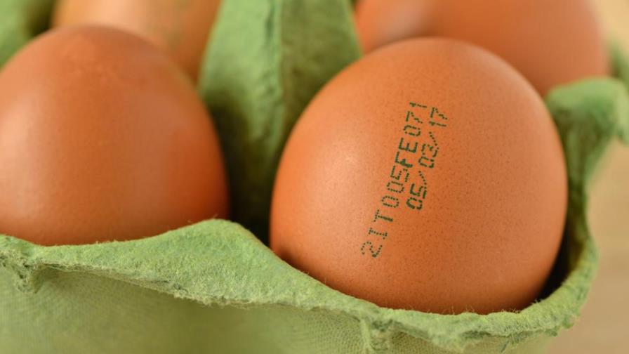 No deberías comer estos alimentos si están vencidos