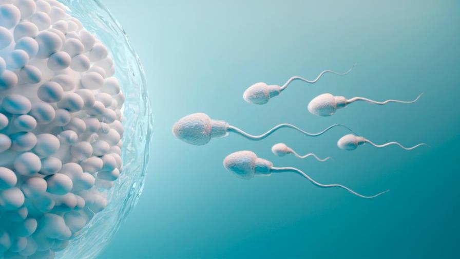Confirman que el COVID-19 afecta a los testículos y la calidad del esperma