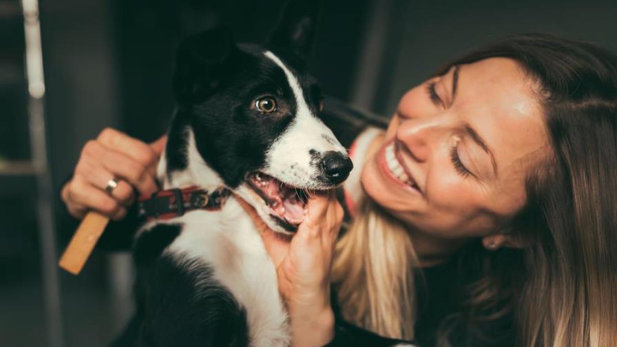 Tu perro entiende perfectamente lo que le dices, según estudio