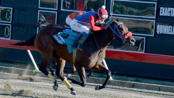 Hipódromo V Centenario presenta cartel con poolpote que sobrepasa los RD$4.5 millones