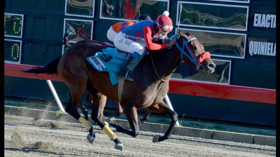 Hipódromo V Centenario presenta cartel con poolpote que sobrepasa los RD$4.5 millones