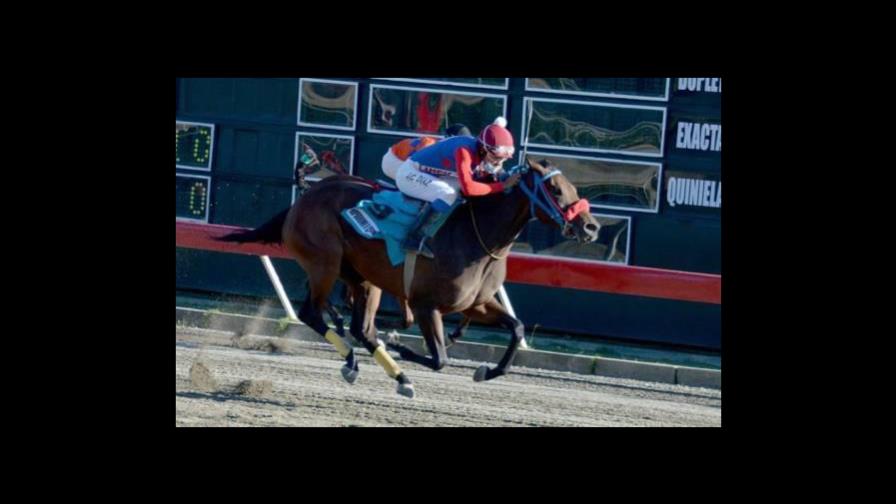 Cinco millones en el poolpote y un cartel nivelado para este sábado en el V Centenario Cinco millones en el poolpote y un cartel nivelado para este sábado en el V Centenario