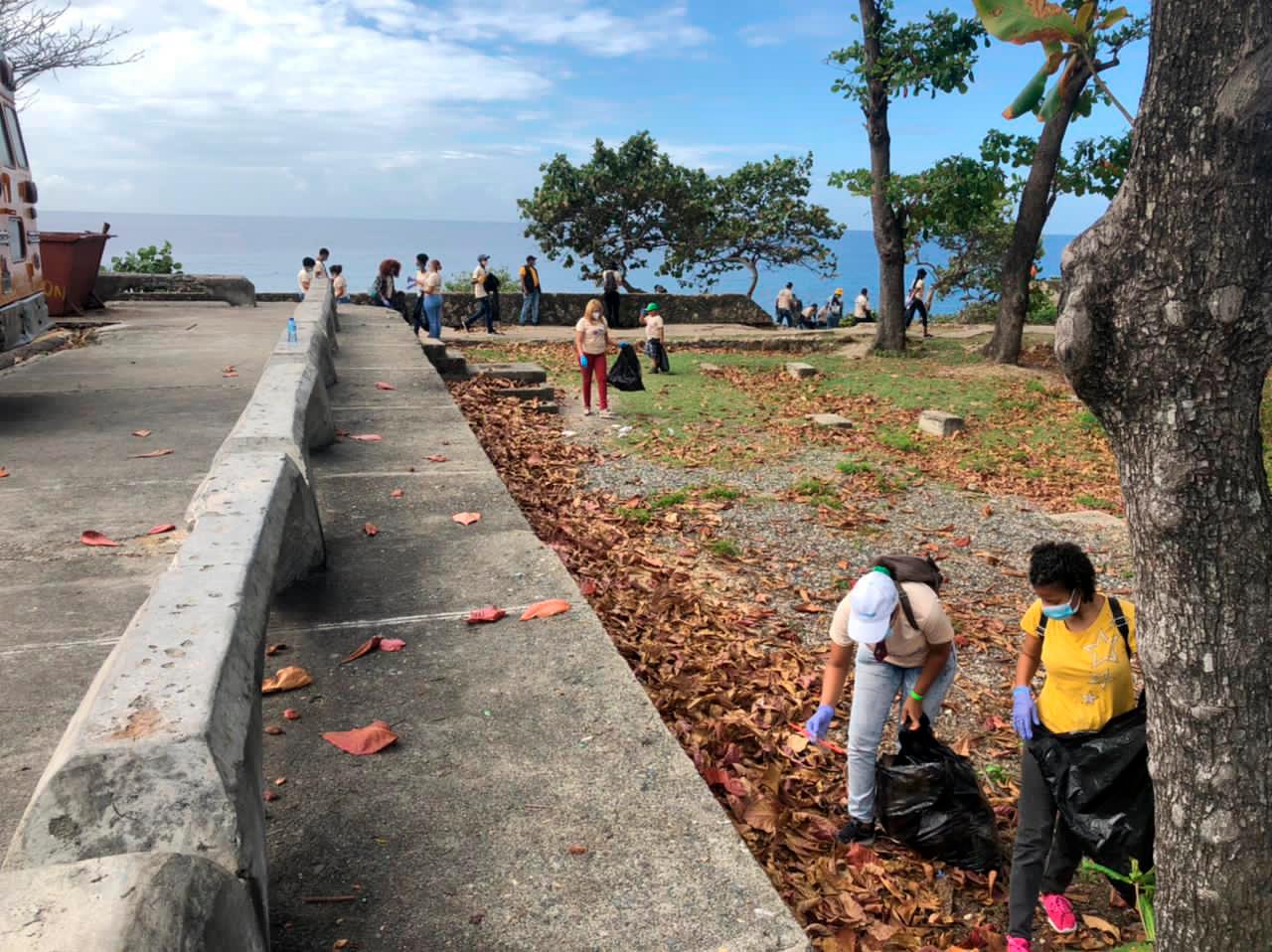 Vista del grupo de jóvenes durante la limpieza de costas.