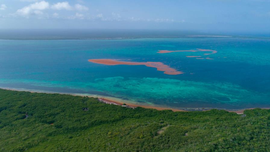 La biodiversidad del parque nacional Cotubanamá