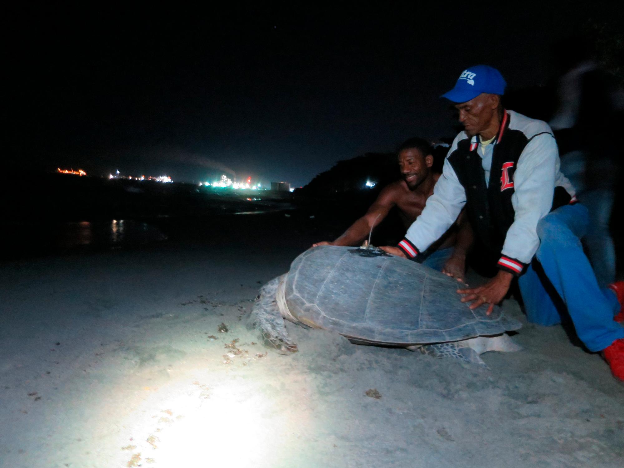 Momento en que va a ser liberada la tortuga “Pepina” en Manresa por pescadores locales.