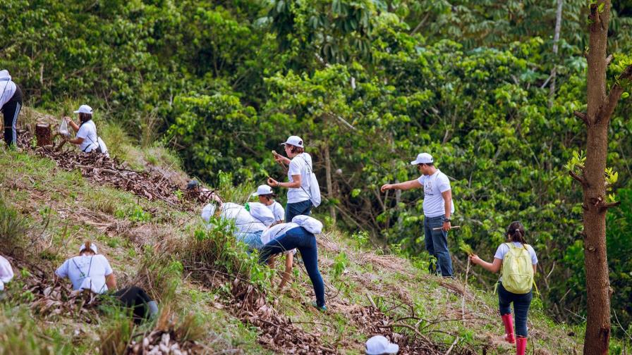 Empresa financiera planta 3,000 árboles en la cuenca del río Ozama Empresa financiera planta 3,000 árboles en la cuenca del río Ozama