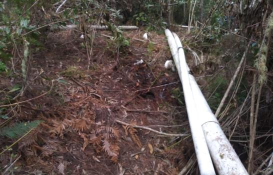 Sigue agresión a Valle Nuevo: intentan instalar tuberías para regar cultivo de flores