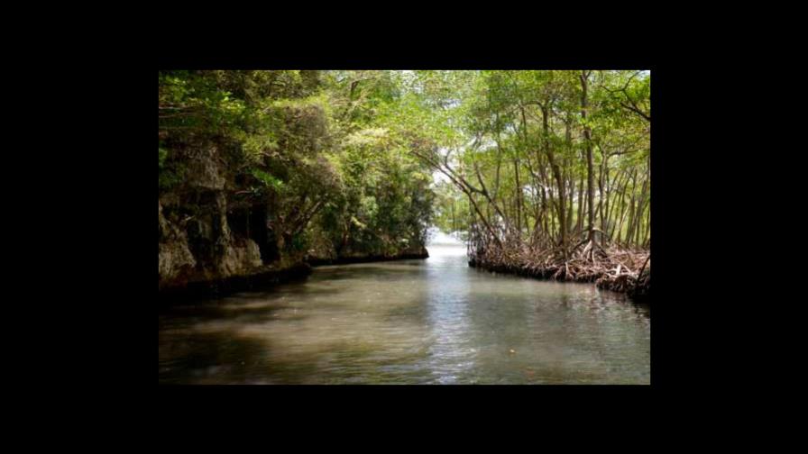 Destituyen al encargado de Medio Ambiente en María Trinidad Sánchez
