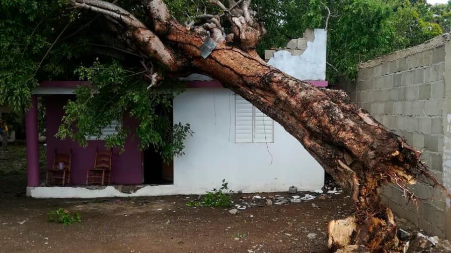 Ventarrón derriba árboles, postes del tendido eléctrico y destecha casas en Santiago