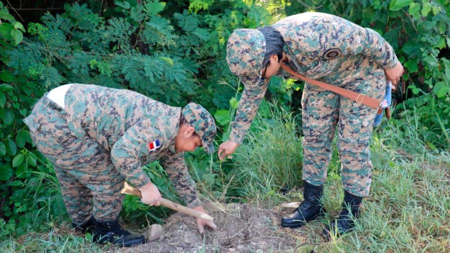 Realizan jornada de reforestación a orilla Circunvalación Norte de Santiago