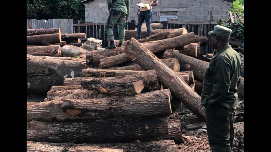 Procuraduría de Medio Ambiente realiza allanamiento en aserradero de Bonao