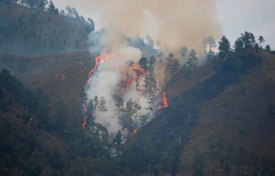 Reportan otro incendio forestal en Constanza