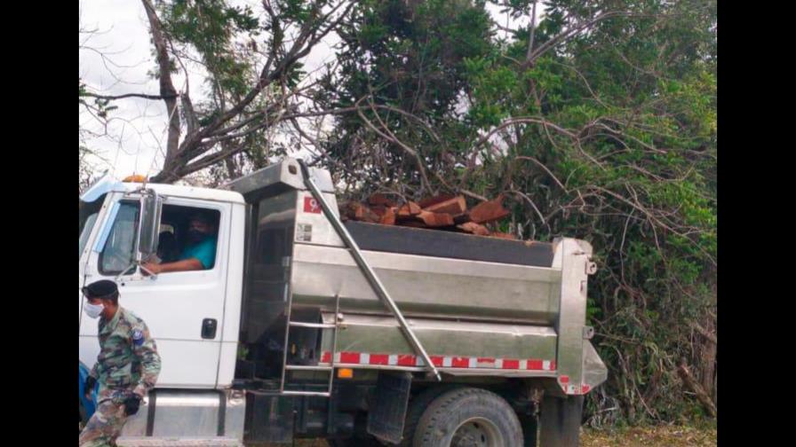 Incautan camión cargado de madera preciosa en Puerto Plata