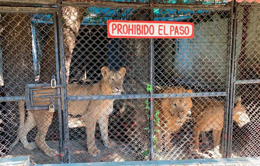 Cierra zoológico de Santiago tras quejas por presuntos maltratos a los animales