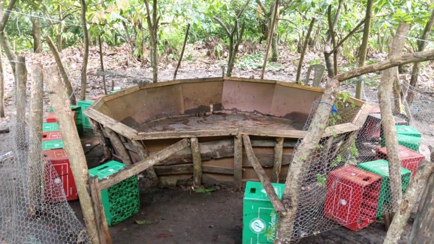 Policía desmantela gallera en pleno jolgorio en San Francisco de Macorís Policía desmantela gallera en pleno jolgorio en San Francisco de Macorís