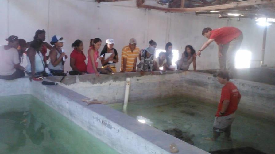 Sugieren crear un museo marino en Montecristi Sugieren crear un museo marino en Montecristi