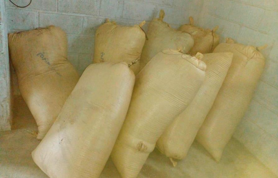 Policía recupera sacos de arroz robados en finca de Montecristi