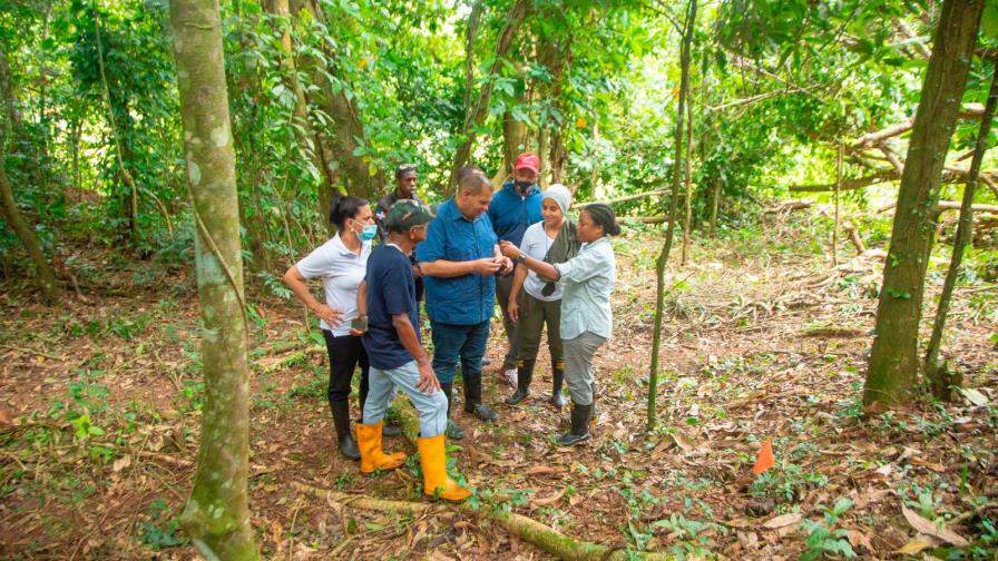 Exploran lugar donde se presume funcionaron ingenios azucareros durante la colonización Exploran lugar donde se presume funcionaron ingenios azucareros durante la colonización