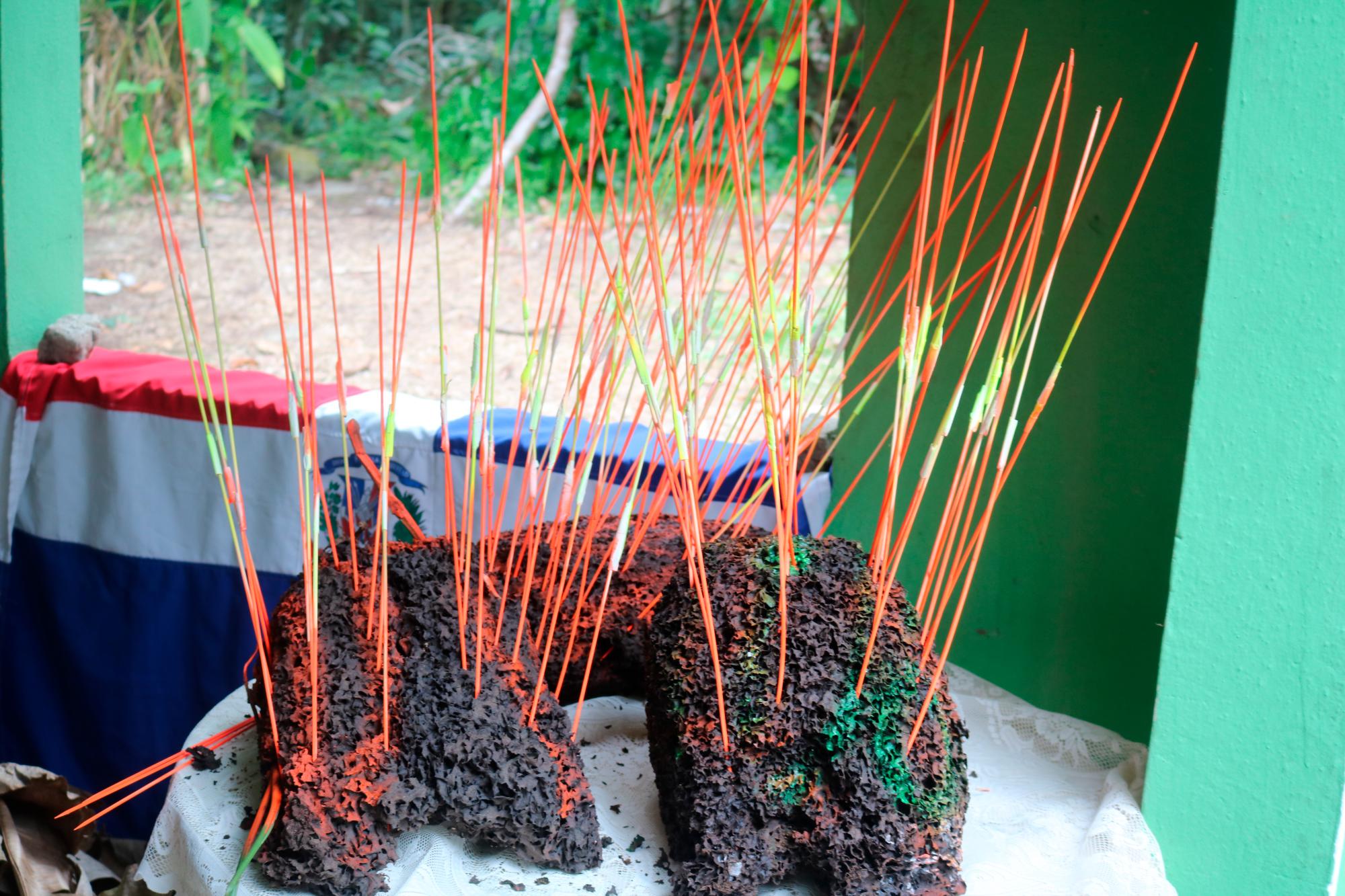 Casco de comején con los palitos de colores que identifican a Las Marimantas.