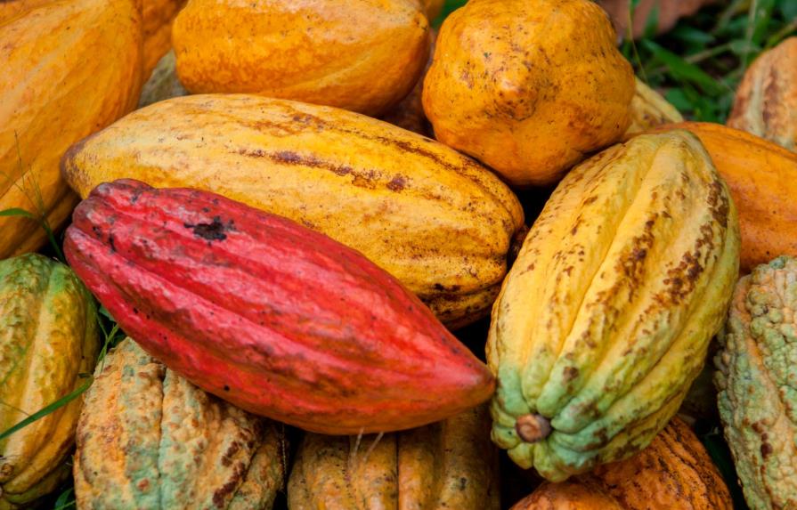 Luis Abinader declara de alto interés nacional cultivo y exportación del cacao