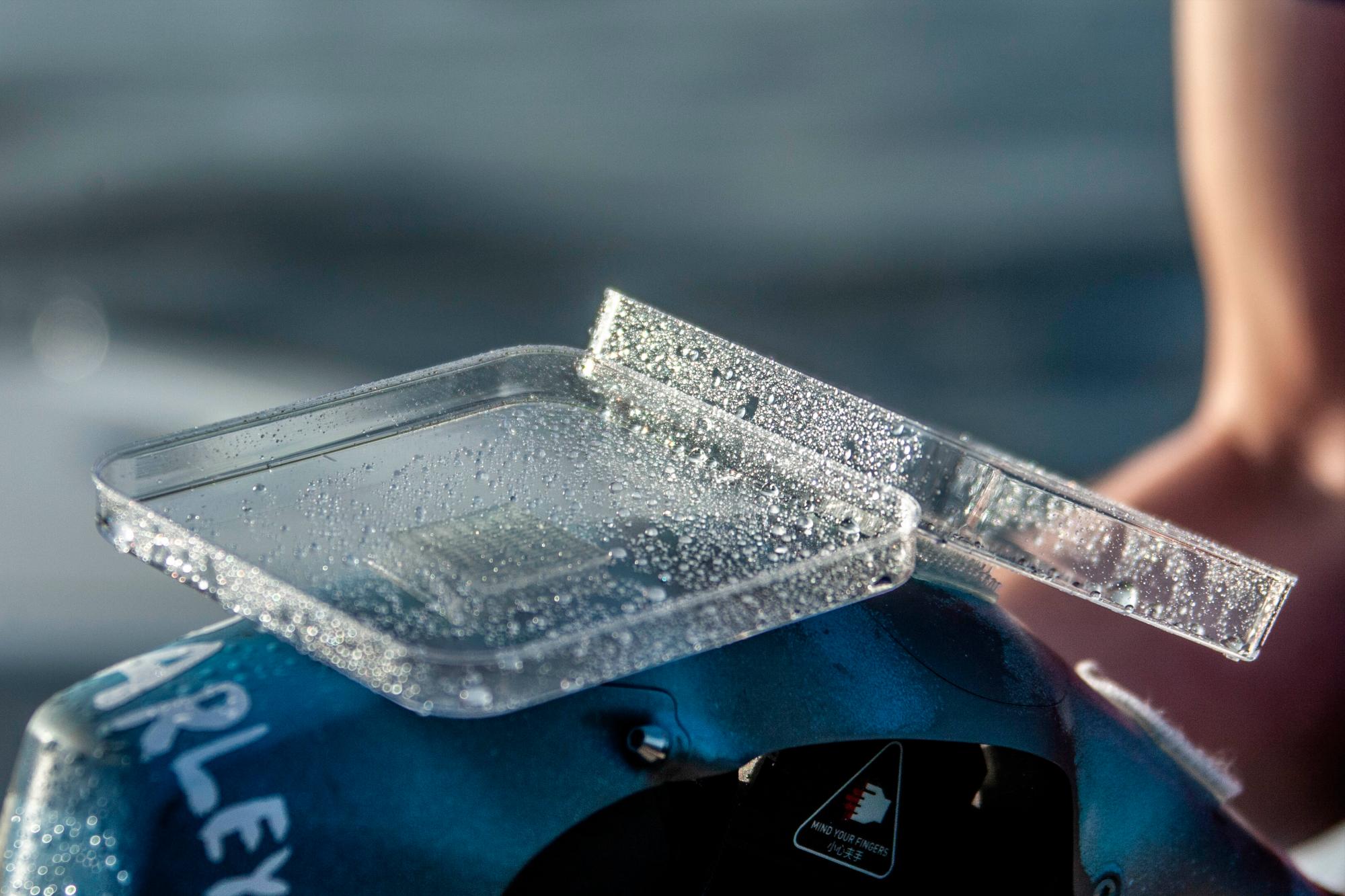 Muestra de soplo en un plato de Petri.