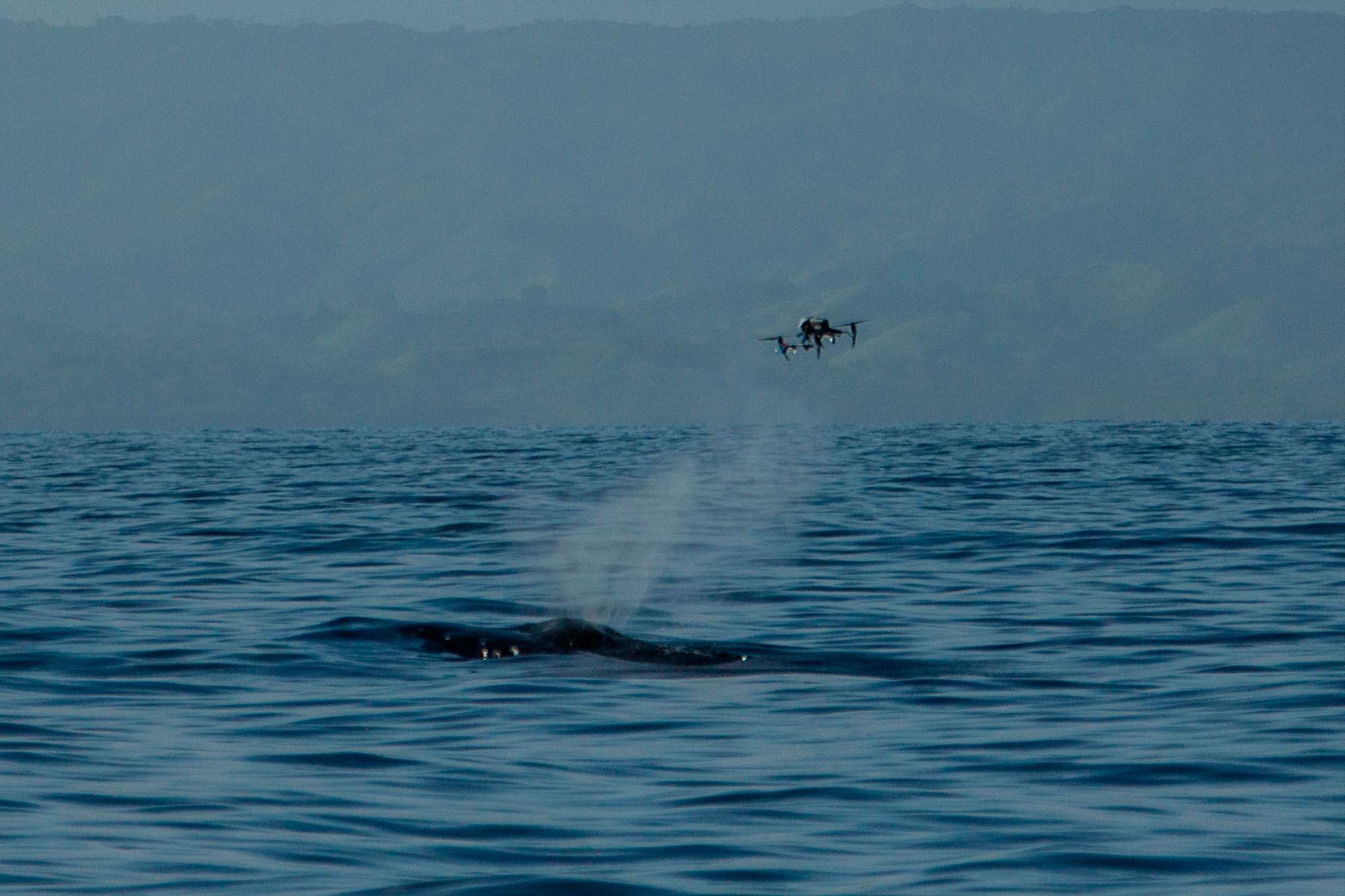 El dron de SNOTBOT mientras toma una muestra.
