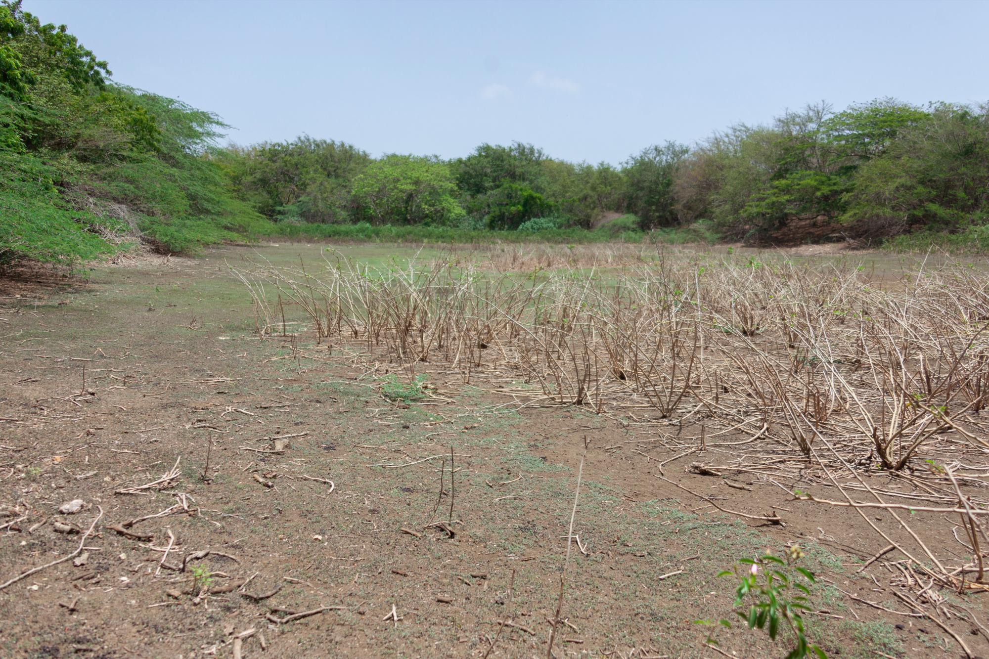 El fondo seco de la “Laguna de Lila”, en Las Agüitas