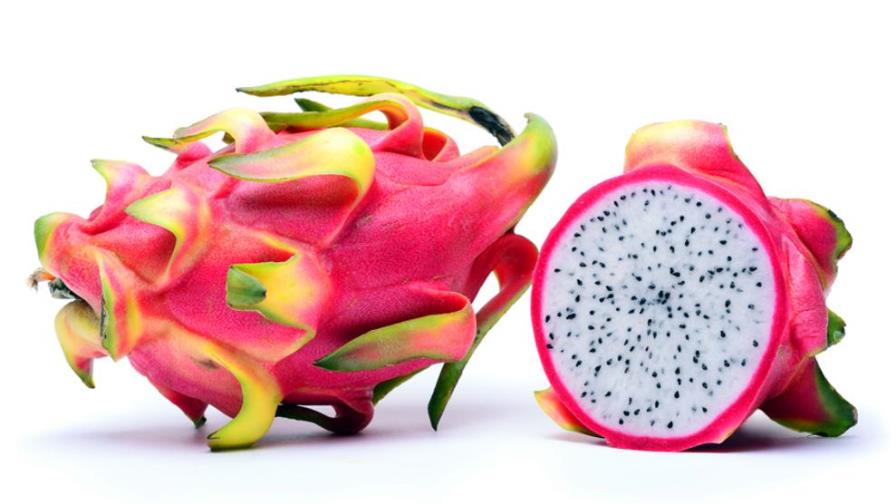CONIAF trasfiere tecnologías sobre el cultivo de pitahaya a técnicos y productores del país 