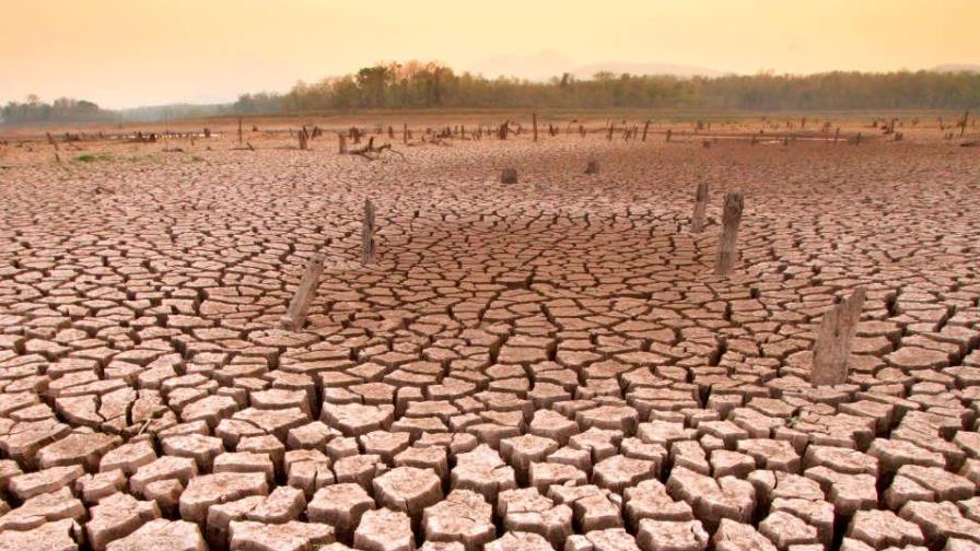 Los bancos británicos, expuestos a conflictos de intereses sobre el clima
