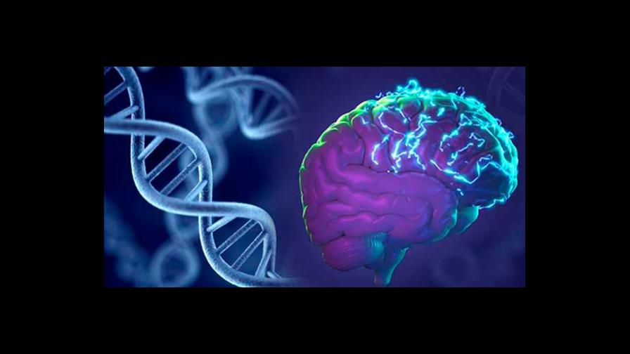 Científicos en EEUU logran anticipar convulsiones de epilépticos