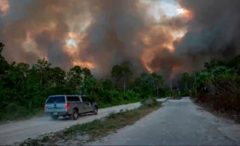 Incendios de maleza obligan a cerrar autopista en Florida