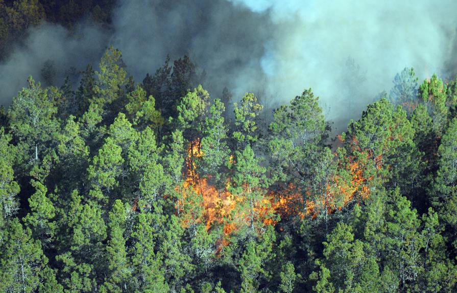 Confirman incendio forestal en San José de Las Matas