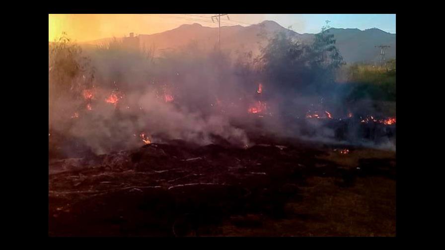 Mueren diez personas en incendio en un cañaveral en Venezuela 