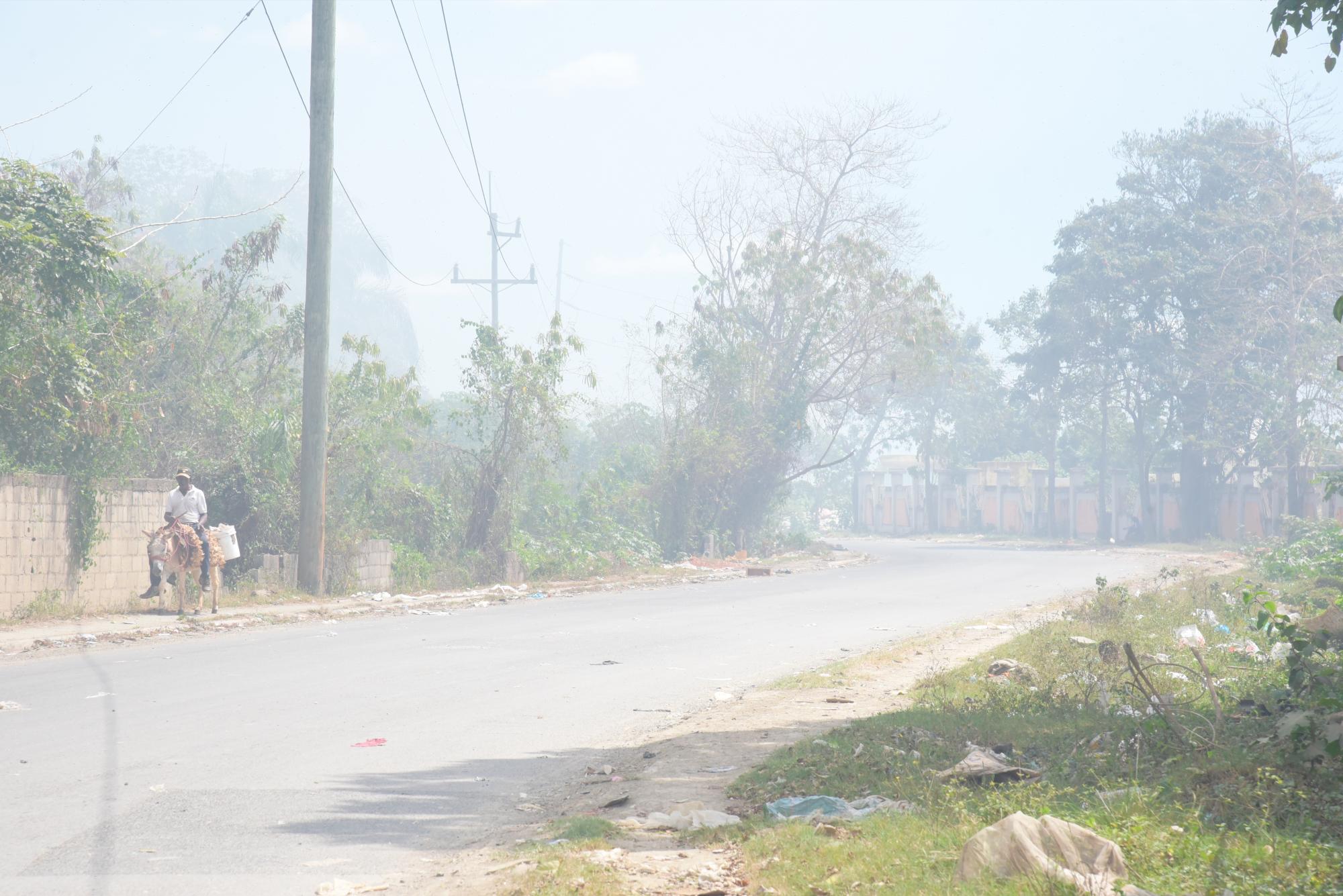 La carretera que conduce a Duquesa (José Justo Féliz)