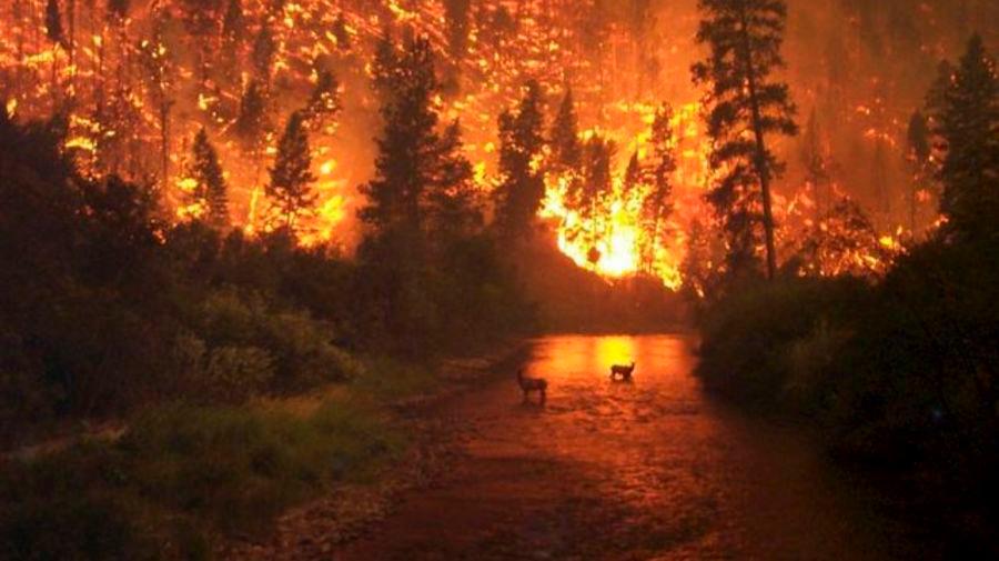 Esta imagen corresponde a un incendio en agosto de 2000 en Montana, EEUU.