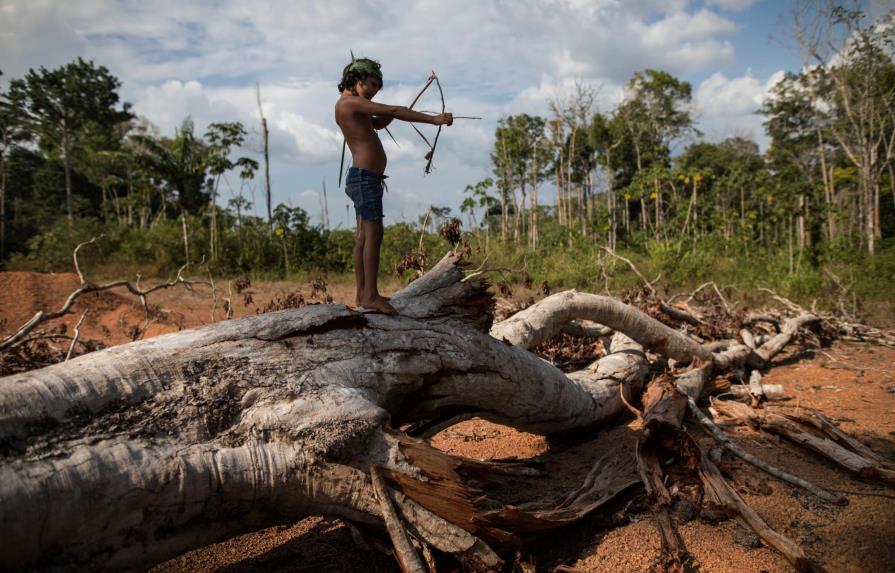 Flechas y celulares: la vida de los tembé en la Amazonía
