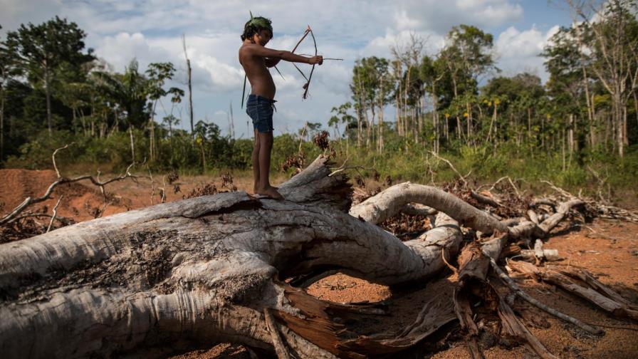 Flechas y celulares: la vida de los tembé en la Amazonía