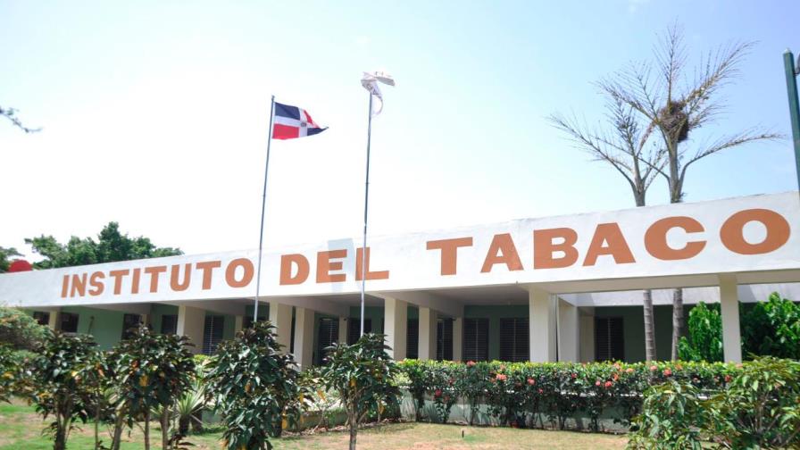 Destacan aportes del tabaco a la economía dominicana