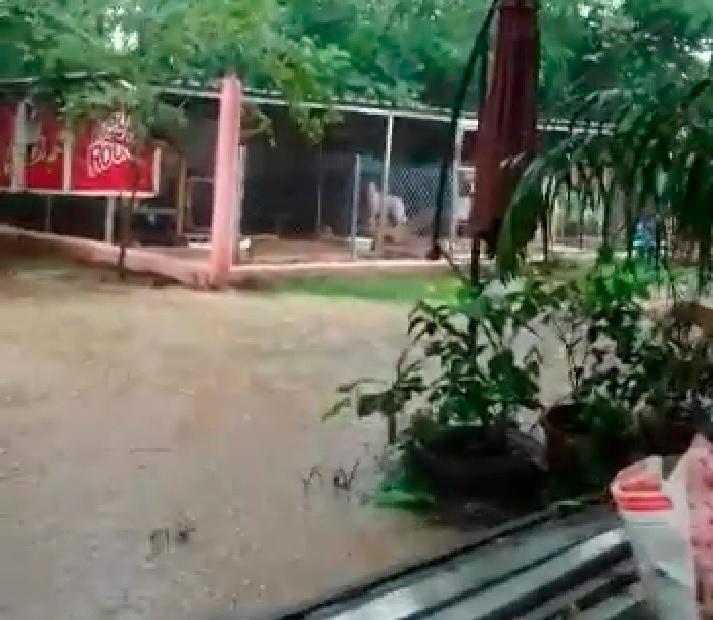 Imagen de la inundación del terreno que ocupa Ecoportal Dominicano, un refugio que alberga 125 animales.