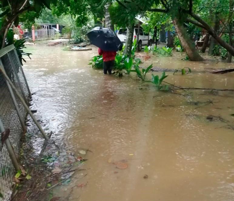 Inundación en refugio de animales callejeros dura tres semanas después de las lluvias