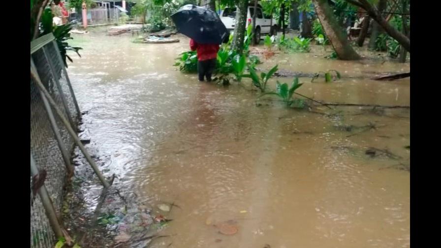Inundación en refugio de animales callejeros dura tres semanas después de las lluvias