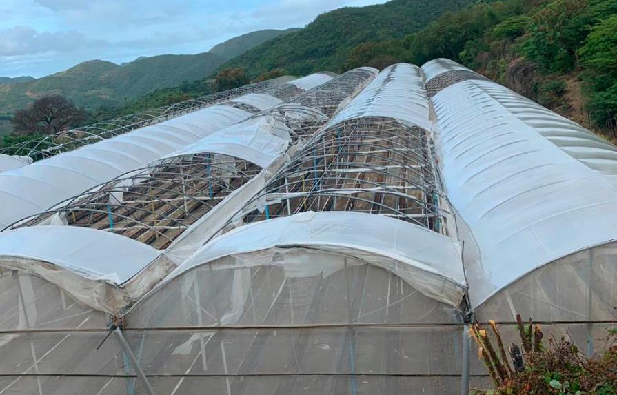 Vientos de tormenta Isaías afectan invernaderos de comunidad agrícola El Pinar, en Ocoa