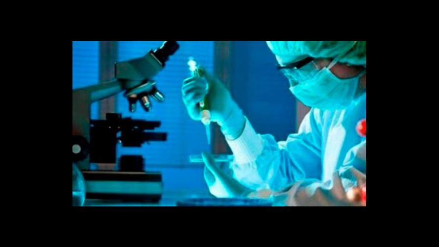 Descubren las diferencias de infección de los hongos que causan candidiasis