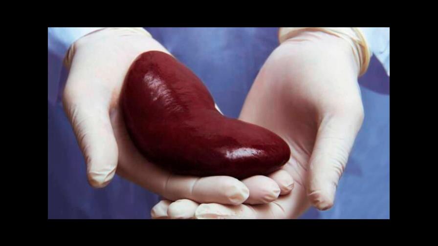 Especialista afirma que cuando los riñones dejan de funcionar eficazmente un trasplante puede salvarle la vida