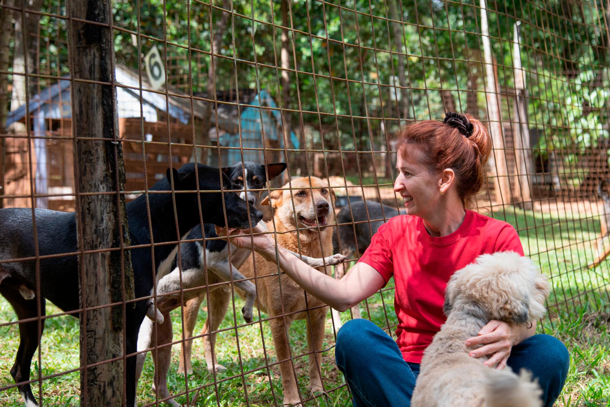 Ivette Garcia, de la Fundación de Blanck junto a parte de los perros que tiene en su refugio en el sector La Cuaba, en el municipio de Pedro Brand.