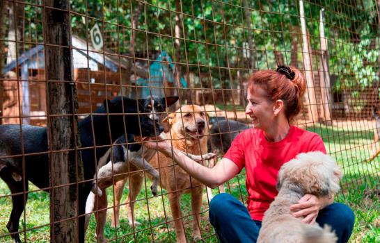 Fundaciones que luchan incansablemente contra el maltrato animal