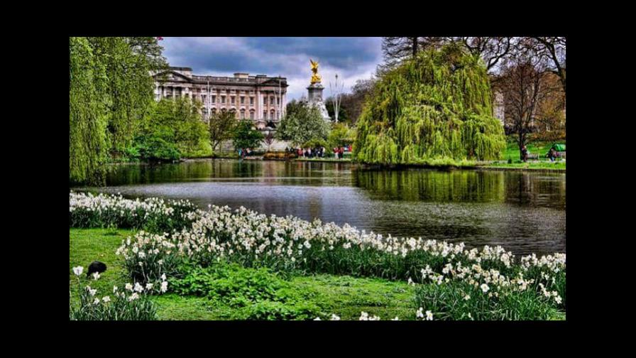 ¿Picnic en los jardines del Palacio de Buckingham? ¡Ya es posible! 
